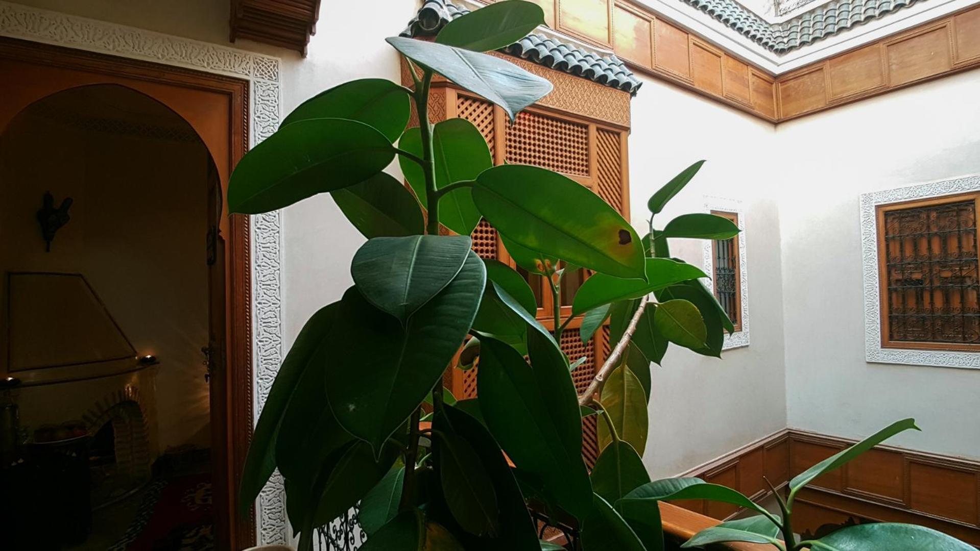 Riad Gallery 49 & Spa Marrakesh Exterior photo